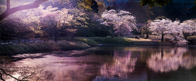 David Drebin, ‘Pink Hour’, 2015, CAMERA WORK