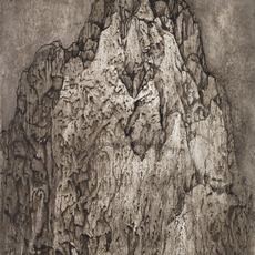 Wang Mansheng 王满晟