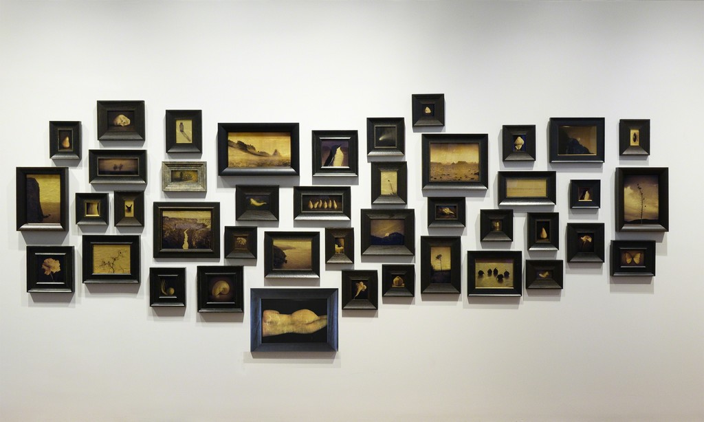 Kate Breakey: Au – Archival Pigment Prints on Glass Plate backed with 24kt Gold Leaf Kate Breakey: Au – Archival Pigment Prints on Glass Plate backed with 24kt Gold Leaf