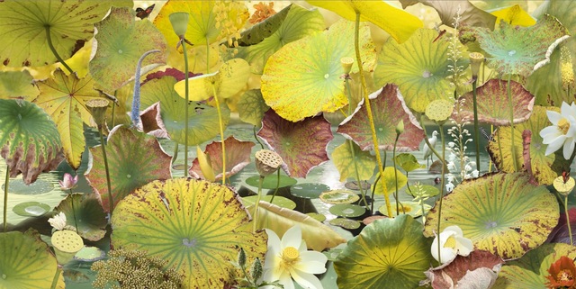 Ruud Van Empel, ‘Voyage Pittoresque #7’, 2017, Huxley-Parlour
