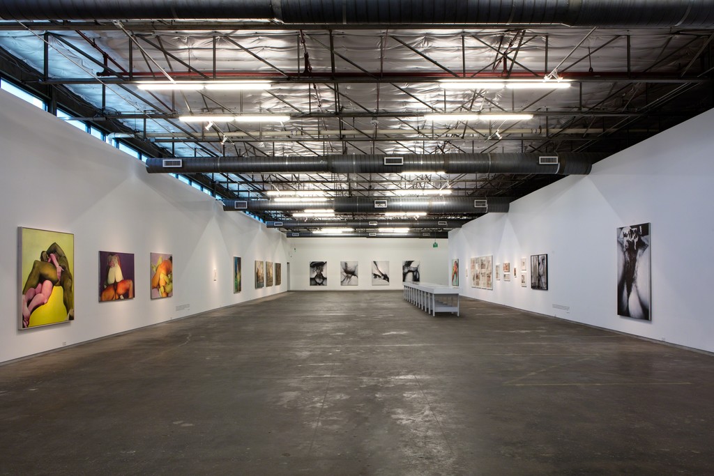 Black Sheep Feminism. Installation view, Dallas Contemporary, 2016. Photo: Kevin Todora Black Sheep Feminism. Installation view, Dallas Contemporary, 2016. Photo: Kevin Todora