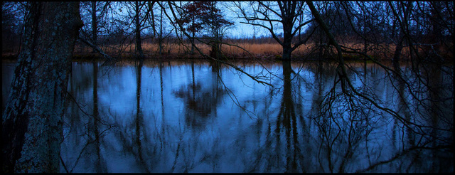 Jerry Siegel, ‘Morning Light, Dallas County, AL’, 2010, Spalding Nix Fine Art