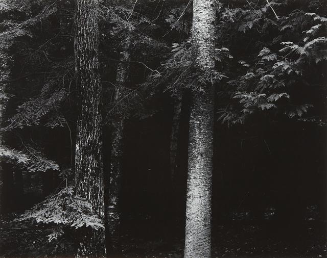 Harry Callahan, ‘Wisconsin’, ca. 1954, Photography, Gelatin Silver Print, James Hyman Gallery