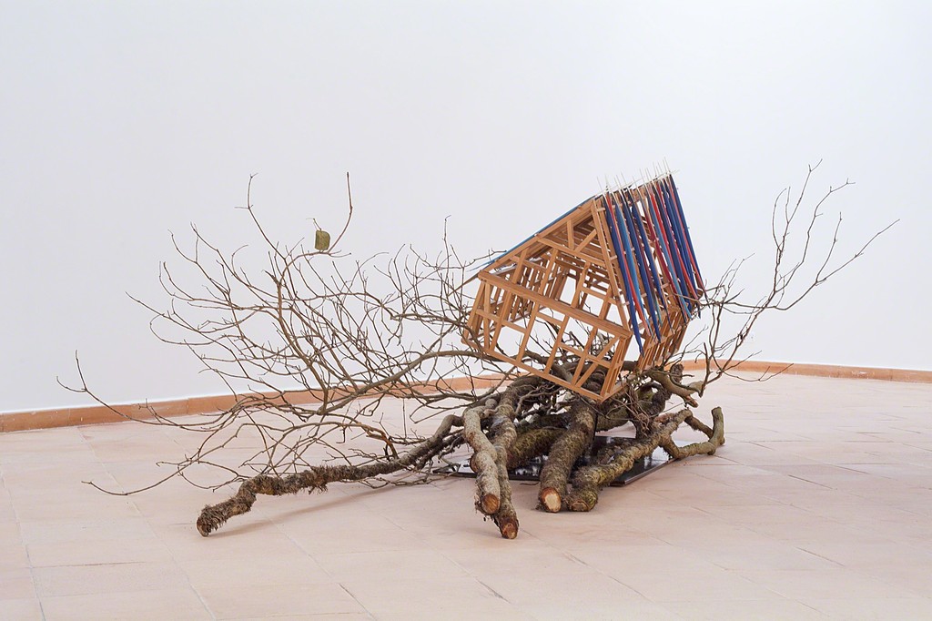 Lothar Baumgarten, installation view Lothar Baumgarten, installation view
