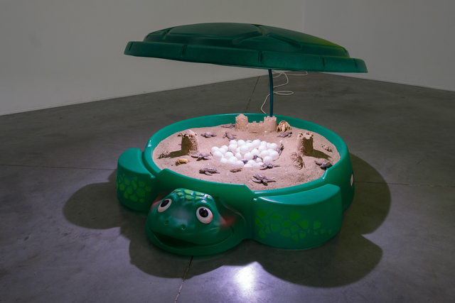 large turtle sandbox