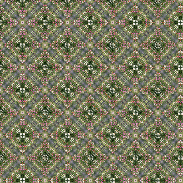 Adele Venter, ‘Daisy’, 2018, Photography, Infinite Pattern created with photograph of flowers | Illford Gloss, Recreational Enterprises & Perseus Gallery