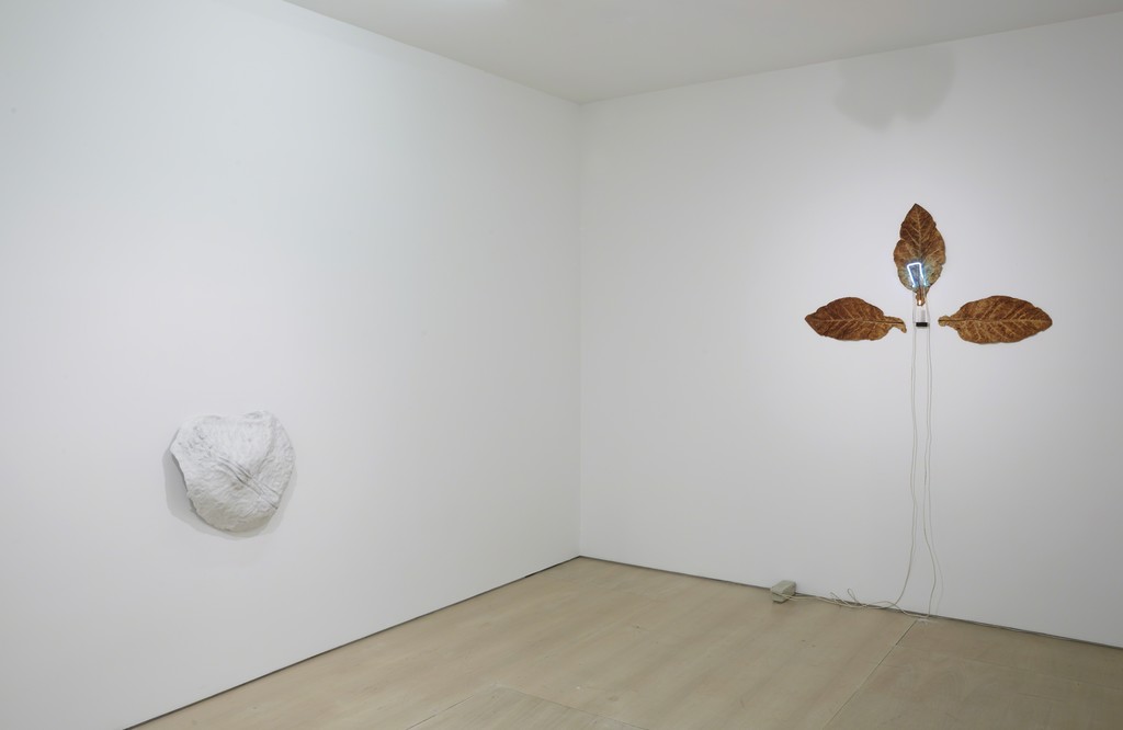 Installation view: Ordering Nature
New York, BOESKY EAST, June 12 – July 31, 2015
Photo credit: Jason Wyche Installation view: Ordering Nature
New York, BOESKY EAST, June 12 – July 31, 2015
Photo credit: Jason Wyche