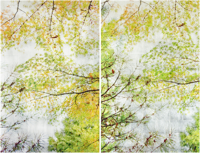 Susan Goldsmith, ‘Autumn Sampling II (Diptych)’, 2019, Gallery Henoch
