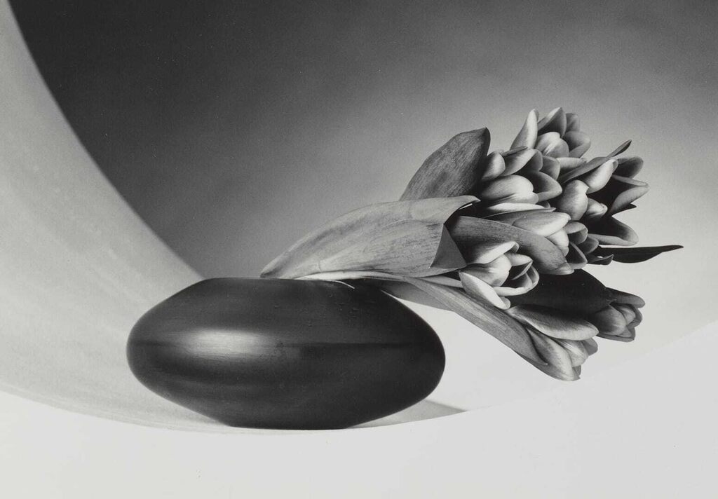 Robert Mapplethorpe - Tulips, (Just to Thank You)