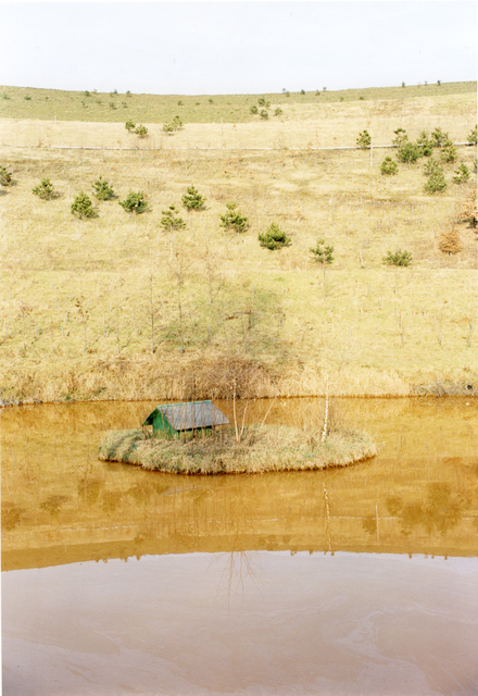 Jitka Hanzlová, ‘Untitled #18 (Yellow Sea) from the series Hier’, Yancey Richardson Gallery
