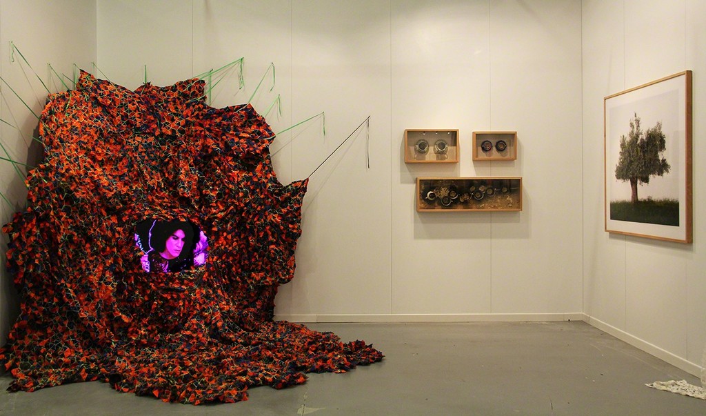 Installation View, Parasite at Contemporary Istanbul 2015, Booth B1-311 Installation View, Parasite at Contemporary Istanbul 2015, Booth B1-311