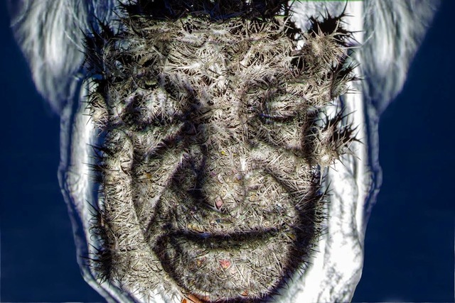 Eitan Vitkon, ‘Peaceful Moment’, 2013, FREMIN GALLERY