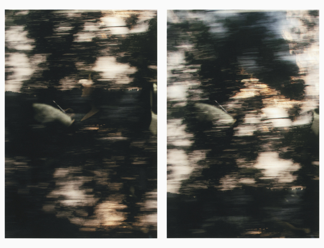 Sam Shmith, ‘Untitled (figure, glass, landscape / consecutive)’, 2019, ARC ONE Gallery