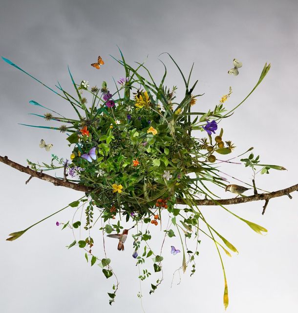 Ysabel Lemay, ‘The Summer Nest ’, 2010 , The Directed Art Modern