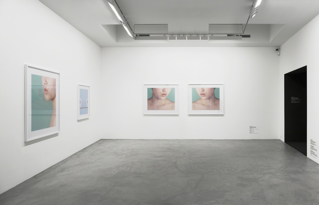 Installation view "Situation #31", Fotomuseum Winterthur, 2016 Installation view "Situation #31", Fotomuseum Winterthur, 2016