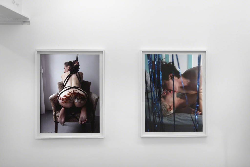 Installation view, ‘AestheticSexAmerica’ curated by Annka Kultys at Helene Bailly Gallery, Paris 2012 Installation view, ‘AestheticSexAmerica’ curated by Annka Kultys at Helene Bailly Gallery, Paris 2012