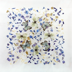 Anna Masters