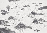 Untitled (Mental Map: Incredible Terrible Beautiful)