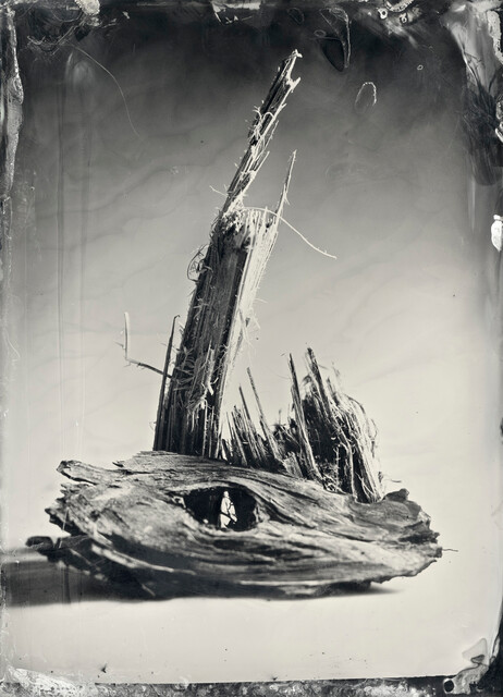 Wet City Series No:85, Northern Forests No:11
