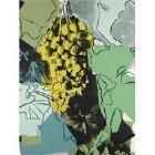 Andy Warhol - Grapes (F. & S. II. 191)