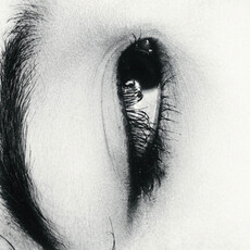 Contemporary Japanese Visions