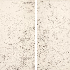 Willem Boshoff, Political Candyfloss