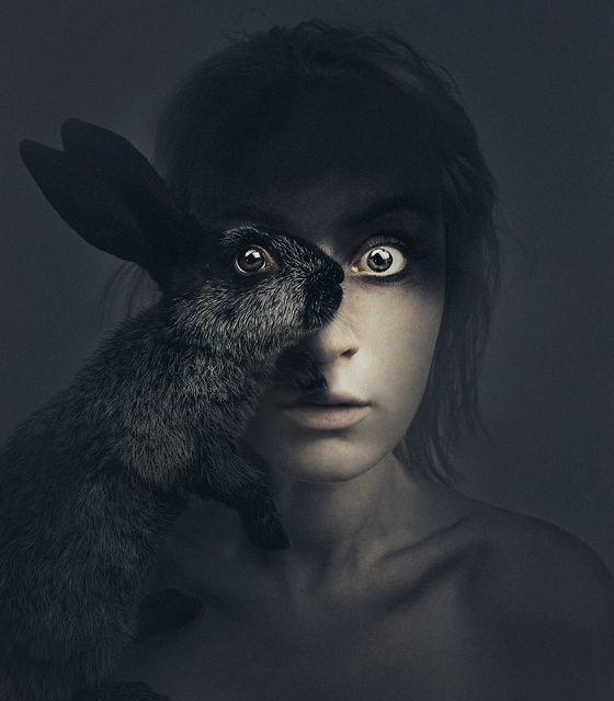 Rabbit In Your Headlights