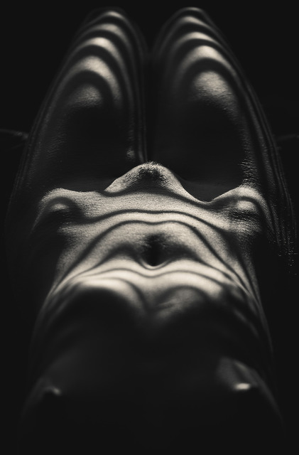 Martin Krystynek, ‘Body’, 2015, Recreational Enterprises & Perseus Gallery