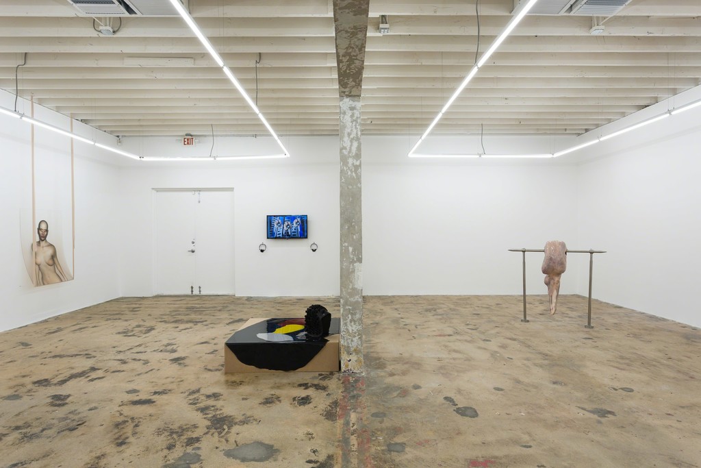 Installation view Installation view