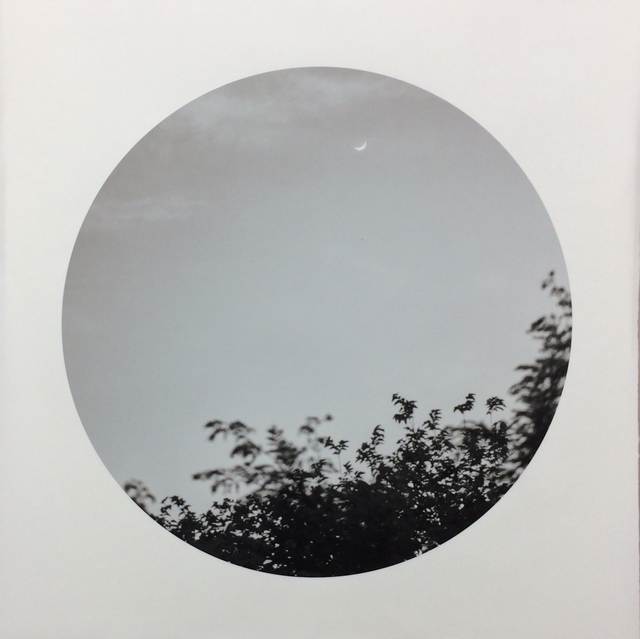 Marie Navarre, ‘find us soon’, 2020, Photography, Archival digital print on Surface Gampi, Rives BFK, Lisa Sette Gallery
