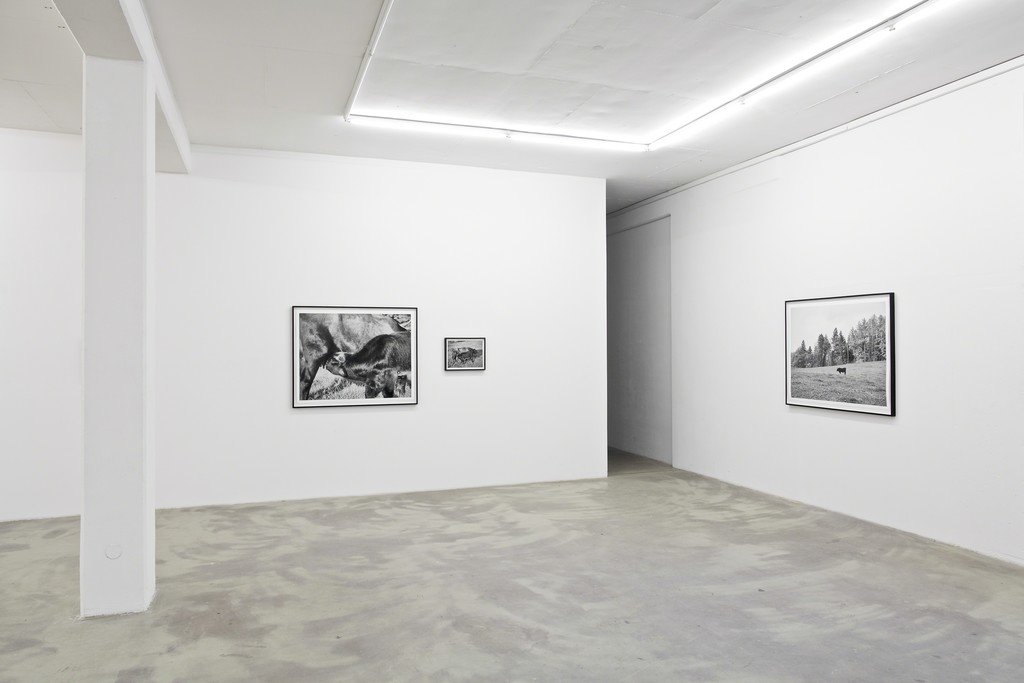 UR, 2015, exhibition view at KLEMM'S Berlin UR, 2015, exhibition view at KLEMM'S Berlin