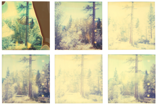 Stefanie Schneider, ‘In The Range Of Light III - 6 pieces, analog, based on a Polaroid’, 2003, Instantdreams