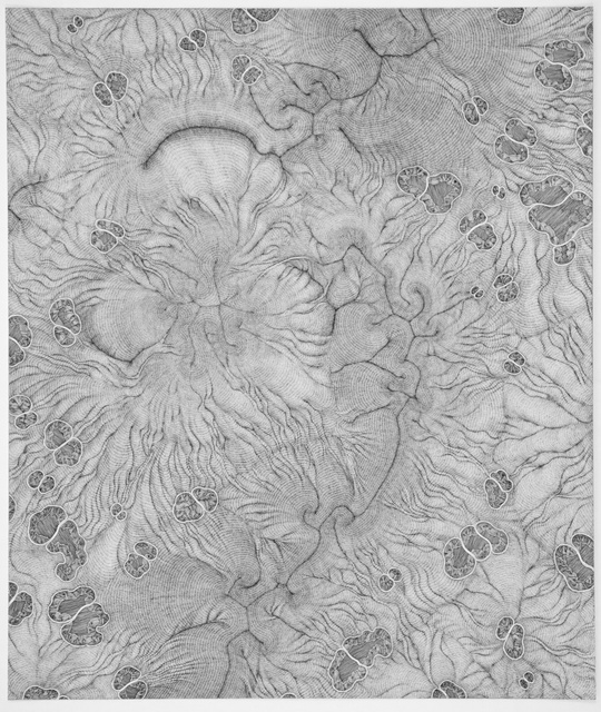 Daniel Zeller, ‘Fluctuational Placement’, 2015, Pierogi