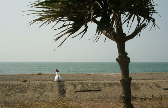 Yahui Wang, ‘The Tropical Work: Snowman’, 2008, TKG+