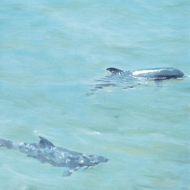 Sergi Castignani, ‘Dauphins’, 2017, Carre D'Artistes