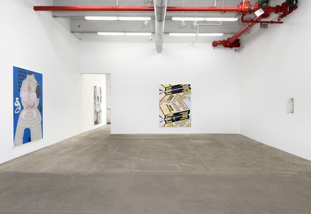 Caitlin Keogh, Loose Ankles, 2016, Installation view, Bortolami, New York Caitlin Keogh, Loose Ankles, 2016, Installation view, Bortolami, New York