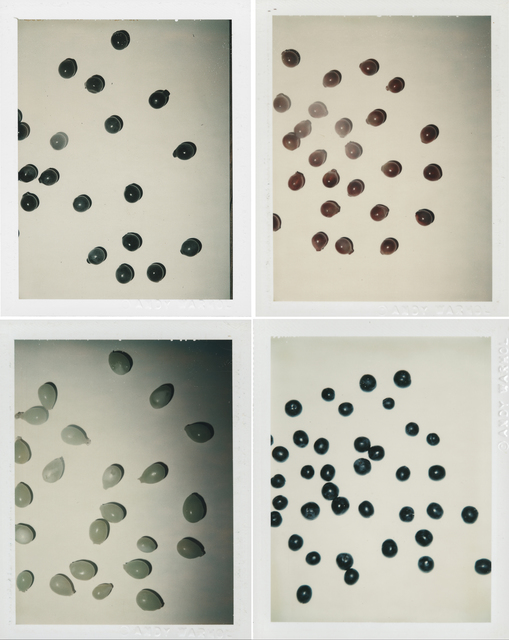 Andy Warhol, ‘Grapes’, Photography, Unique polaroid print, Christie's Warhol Sale
