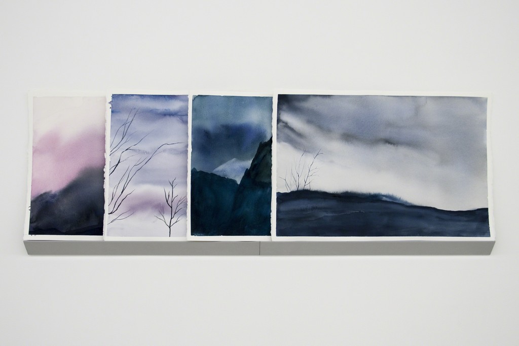 Ana María Millán — Black Metal Captures (2015) Ana María Millán — Black Metal Captures (2015)