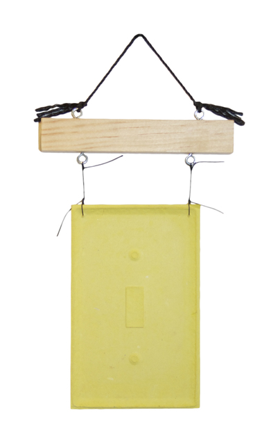 B. Wurtz, ‘Untitled (7946)’, 2015, Dieu Donné