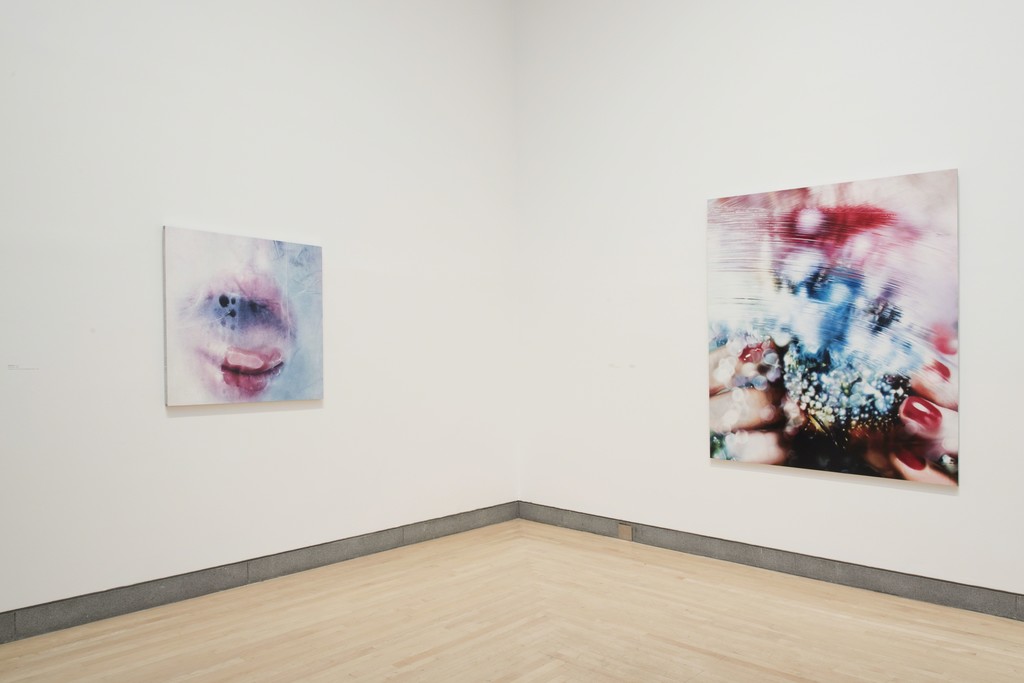Installation view of "Marilyn Minter: Pretty/Dirty" at Brooklyn Museum, Brooklyn (2016). Photo credit: Jonathan Dorado/Brooklyn Museum Installation view of "Marilyn Minter: Pretty/Dirty" at Brooklyn Museum, Brooklyn (2016). Photo credit: Jonathan Dorado/Brooklyn Museum