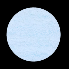 Akil