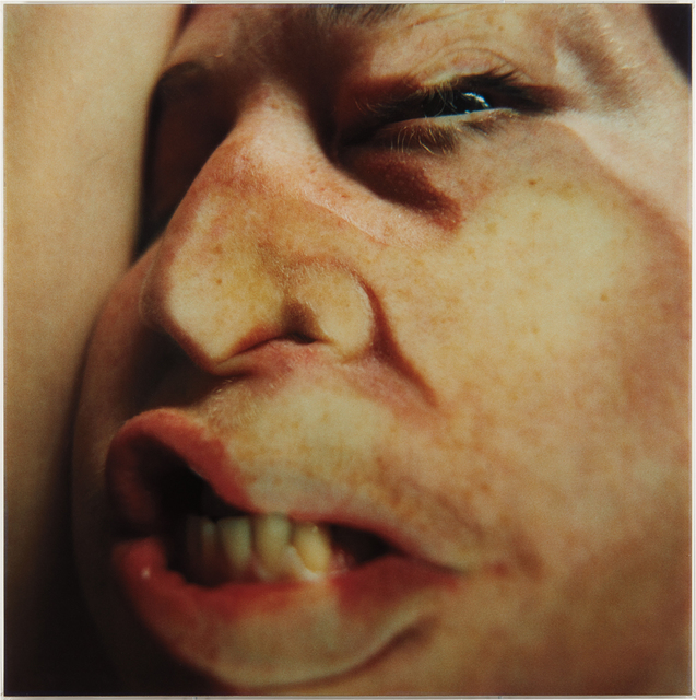 Jenny Saville & Glen Luchford, ‘Closed Contact #16’, 1995-1996, Phillips