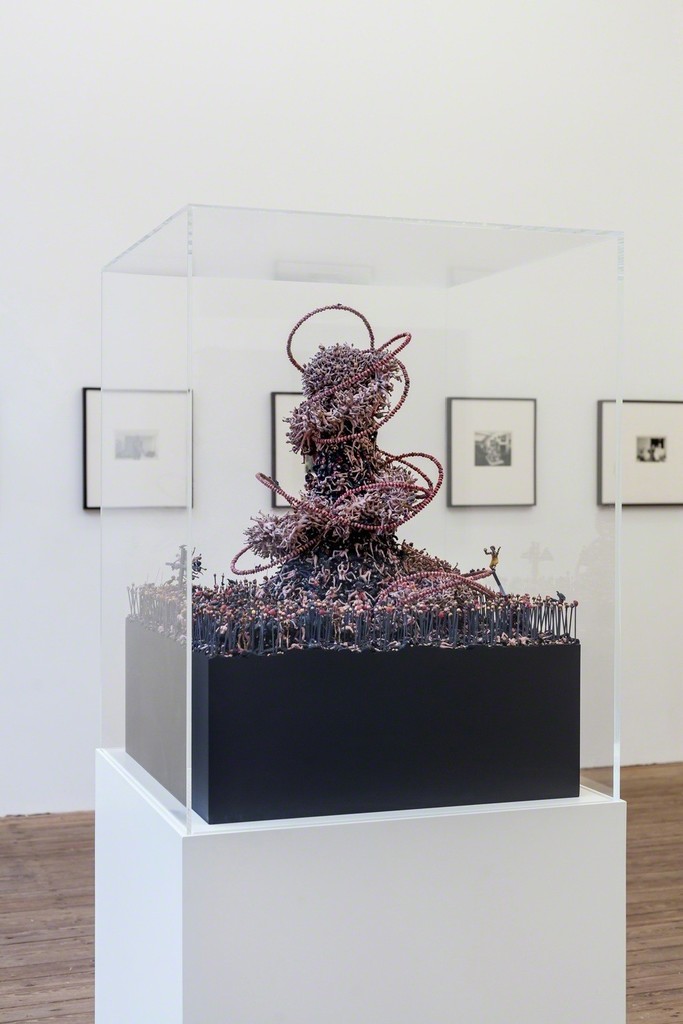 © Jake and Dinos Chapman. Courtesy Galerie Gabriel Rolt. © Jake and Dinos Chapman. Courtesy Galerie Gabriel Rolt.