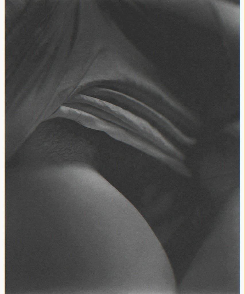 Hand-initialed, bound platinum print from 21st Editions' "Sally Mann" Hand-initialed, bound platinum print from 21st Editions' "Sally Mann"