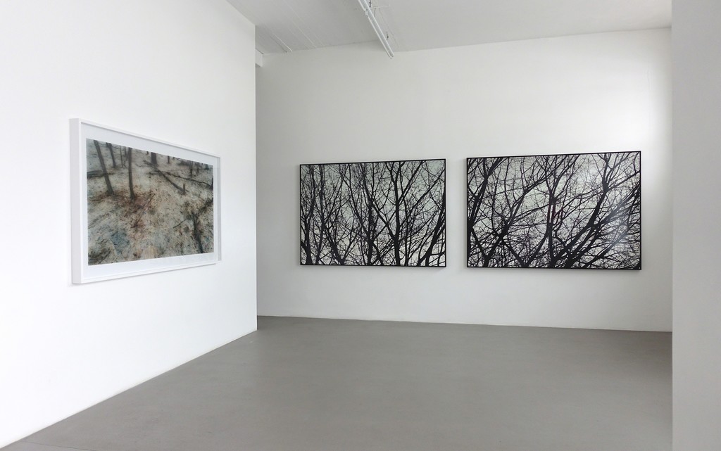 BETALAND Rosemary Laing, Paper/Thursday, 2013, Sven Drühl, SDCGT 1+2, 2014 (LTR) BETALAND Rosemary Laing, Paper/Thursday, 2013, Sven Drühl, SDCGT 1+2, 2014 (LTR)