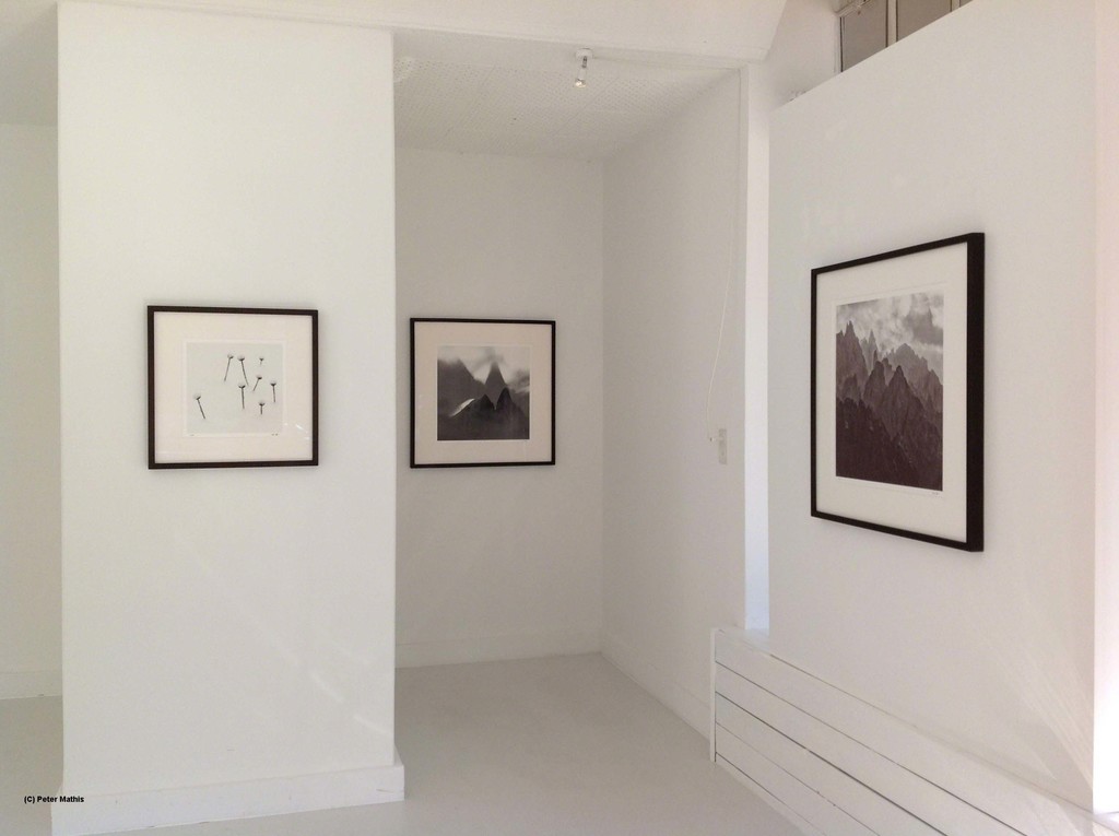 Installation Shot Alpine Passagen @ Petra Gut Contemporary Zurich, Image: Peter Mathis Installation Shot Alpine Passagen @ Petra Gut Contemporary Zurich, Image: Peter Mathis