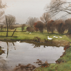 Harry Leith-Ross