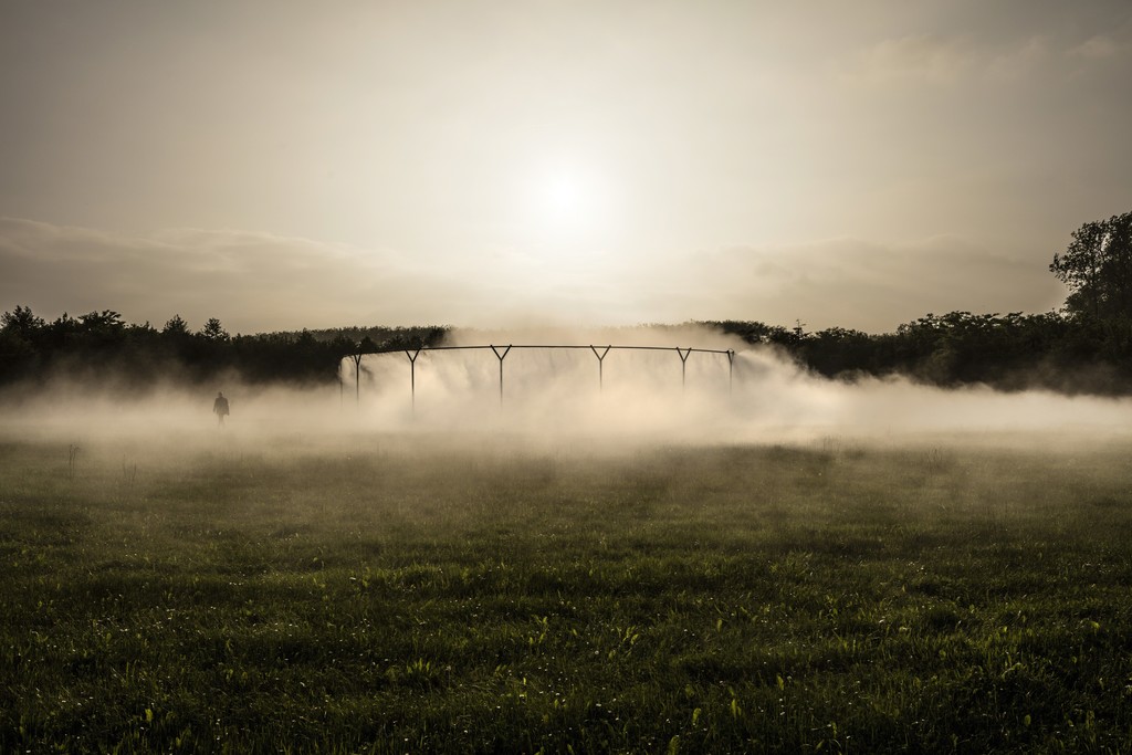 Installation view of "Olafur Eliasson" at Château de Versailles, Versailles (2016) Photo: Anders Sune Berg
Courtesy of the artist; neugerriemschneider, Berlin; Tanya Bonakdar Gallery, New York © 2016 Olafur Eliasson Installation view of "Olafur Eliasson" at Château de Versailles, Versailles (2016) Photo: Anders Sune Berg
Courtesy of the artist; neugerriemschneider, Berlin; Tanya Bonakdar Gallery, New York © 2016 Olafur Eliasson