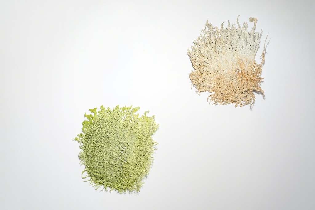 Cast paper sculptures by Jarrod Beck. Cast paper sculptures by Jarrod Beck.