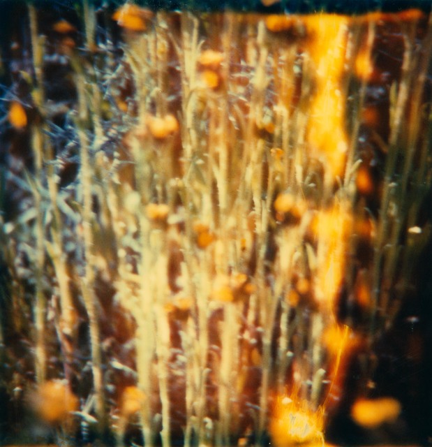 Stefanie Schneider, ‘Jean Baptist's Dream Sequence - part 5’, 2005, Photography, Digital C-Print based on a Polaroid, not mounted, Instantdreams